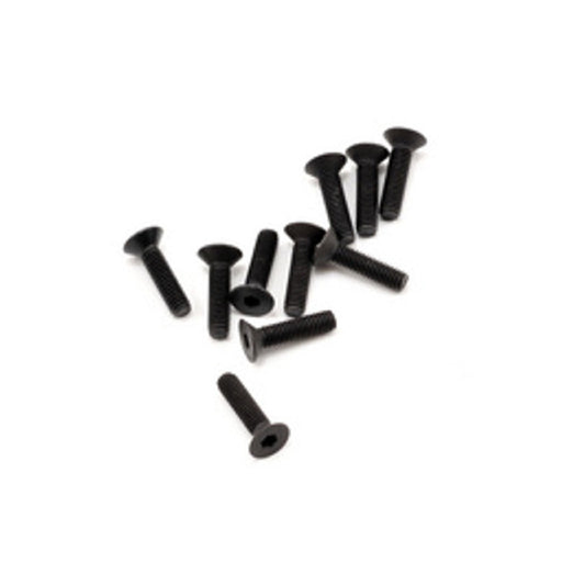 SWORKz FH Screw M3x12mm (10)